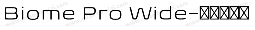 Biome Pro Wide字体转换